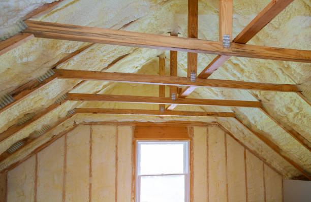 Best Eco-Friendly Insulation in Williston, FL