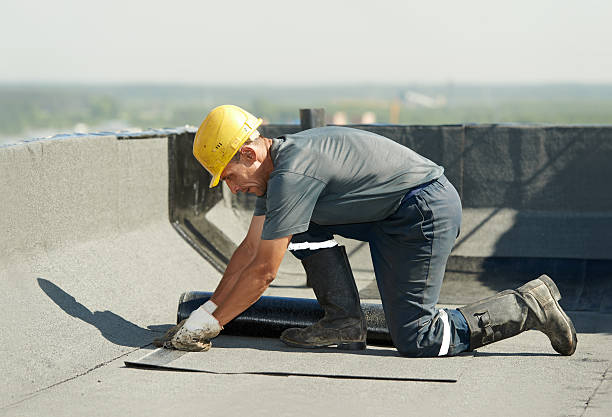 Trusted Williston, FL Insulation Contractor Experts