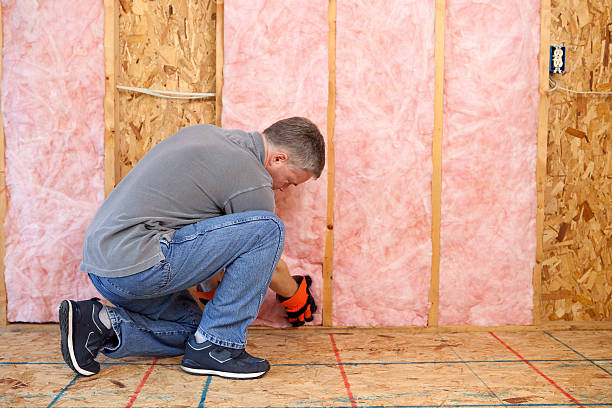 Best Specialized Insulation Services in Williston, FL